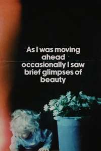 As I Was Moving Ahead Occasionally I Saw Brief Glimpses of Beauty - Poster