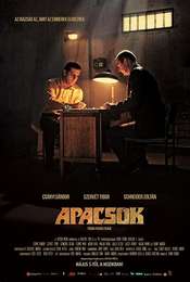 Apaches
