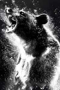 Cocaine Bear - Poster