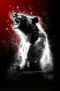 Cocaine Bear - Poster