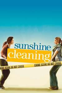 Sunshine Cleaning - Poster