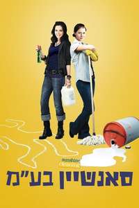 Sunshine Cleaning - Poster