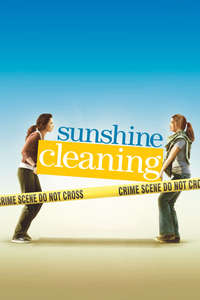 Sunshine Cleaning - Poster