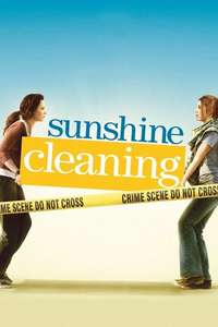 Sunshine Cleaning - Poster