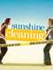 Sunshine Cleaning