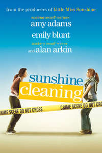 Sunshine Cleaning - Poster