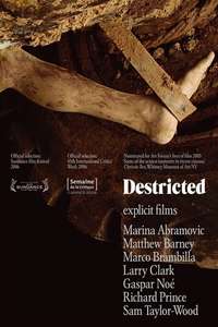 Destricted - Poster