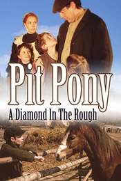 Pit Pony