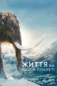 Life on Our Planet - Posters
