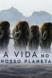 Life on Our Planet - Posters