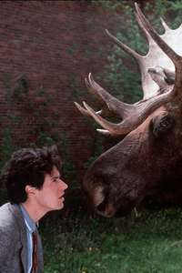 Northern Exposure - Poster