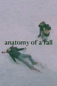 Anatomy of a Fall - Posters