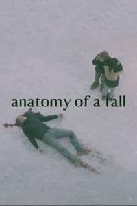 Anatomy of a Fall - Posters