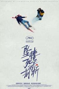 Anatomy of a Fall - Posters
