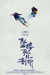 Anatomy of a Fall - Posters