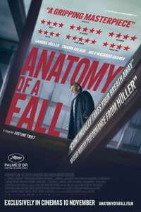 Anatomy of a Fall - Posters