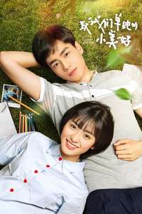 A Love So Beautiful - Posters