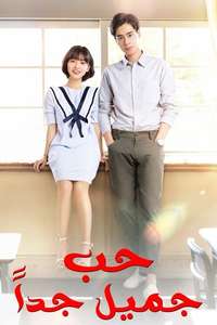 A Love So Beautiful - Posters