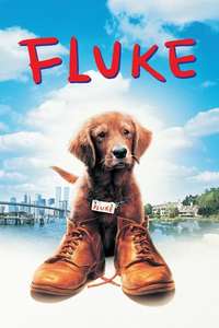 Fluke - Poster