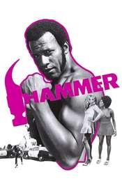 Hammer