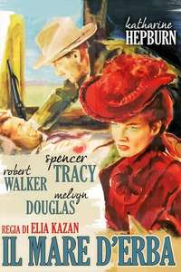 The Sea of Grass - Posters