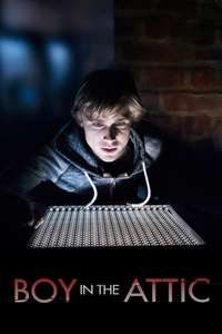 Secrets in the Attic - Poster