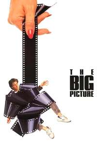 The Big Picture - Poster