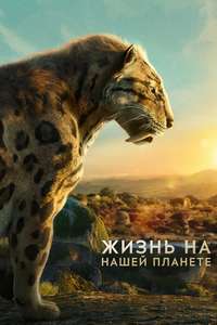 Life on Our Planet - Posters