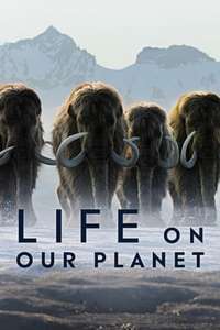Life on Our Planet - Posters