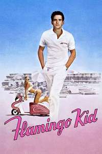 The Flamingo Kid - Poster