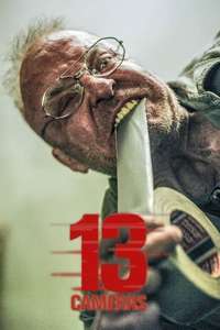 13 Cameras - Poster