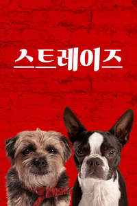 Strays - Posters