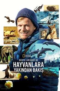 Animals Up Close with Bertie Gregory - Posters