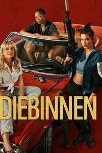 Wingwomen - Poster