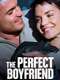 The Perfect Boyfriend