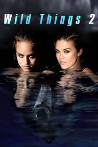 Wild Things 2 - Poster