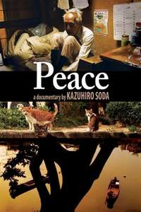 Peace - Poster