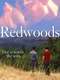 Redwoods