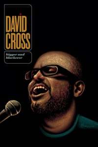 David Cross: Bigger and Blackerer - Poster