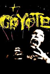 Coyote