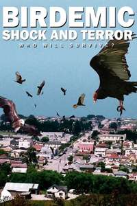 Birdemic: Shock and Terror - Poster