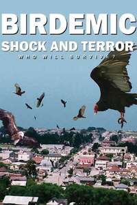 Birdemic: Shock and Terror - Poster