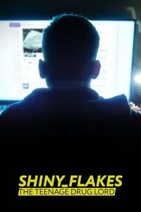 Shiny_Flakes: The Teenage Drug Lord - Poster