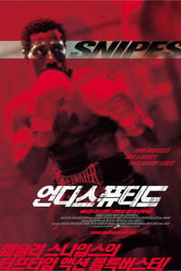 Undisputed - Poster