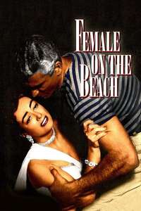 Female on the Beach - Poster