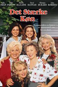 Steel Magnolias - Poster
