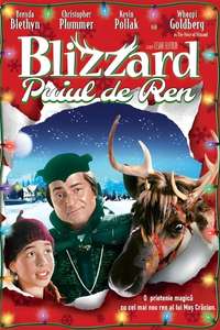 Blizzard - Poster