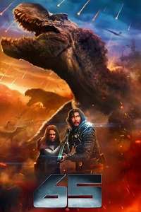 65 - Poster