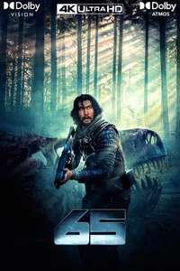 65 - Poster