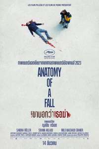 Anatomy of a Fall - Posters